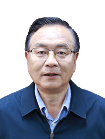 陈晋